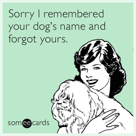 LMAO.  I know all of my neighbors dogs names but I don't know my neighbors name.  Sad, I know...but I talk to the dogs more! Veterinary Humor, Vet Tech Humor, Mom Problems, Tech Humor, Dog Lady, Dog Rules, Mini Schnauzer, Work Humor, Someecards