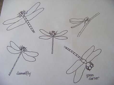 She Brews: Embroidering Dragonflies and Damselflies Dragonfly Embroidery Pattern Free, Dragonfly Patterns, Simple Dragonfly, Dragonfly Embroidery Design, Embroidery Collage, Dragonfly Embroidery, Tutorials Art, Tattoos Simple, Damselflies