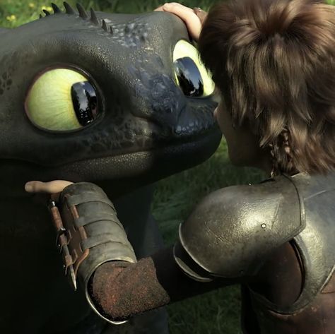 Httyd Toothless, Dragon Icon, Httyd Art, Toothless Dragon, Hiccup And Toothless, Hiccup And Astrid, Train Dragon, Httyd Dragons, Httyd 3