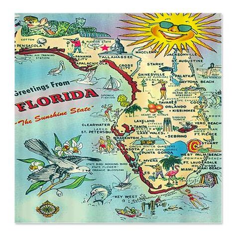 Vintage Florida Map Shower Curtain.  Awesome! CafePress has the best selection of custom t-shirts, personalized gifts, posters , art, mugs, and much more. Map Shower Curtain, Rustic Shower Curtains, Florida Vintage, Cloth Shower Curtain, Florida Room, Map Of Florida, Fabric Shower Curtain, Area Rug Design, 5x7 Area Rug