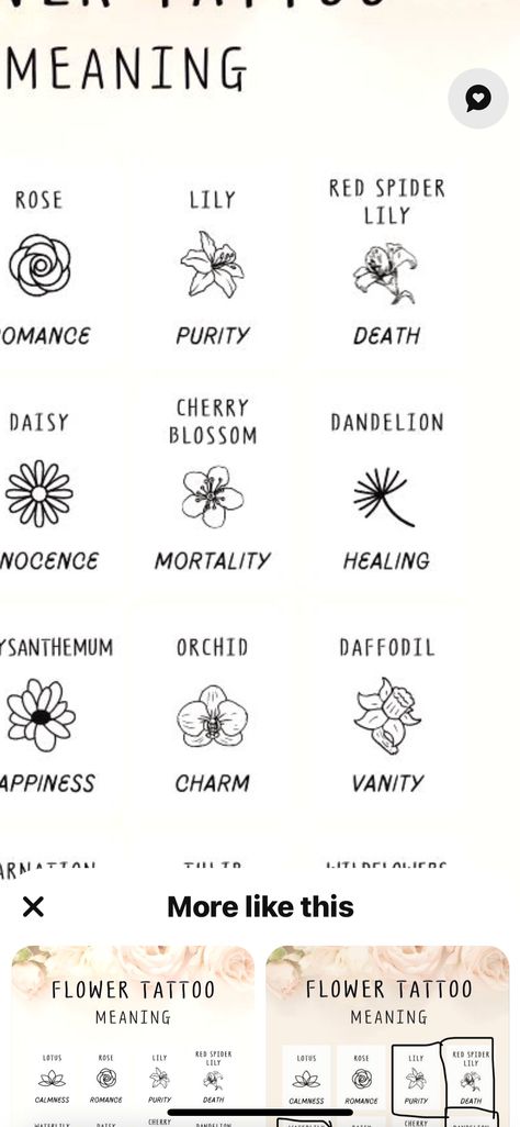 Flower Tattoos And Their Meanings, Tattoos And Their Meanings, Flower Tattoo Meanings, Lily Lotus, Rose Lily, Tattoos With Meaning, Flower Tattoos, Daffodils, Flower Tattoo