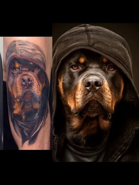 Rottweiler Tattoo For Women, Rottweiler Tattoo Ideas, Puppy Care Tips, Rottweiler Tattoo, Tattoos For Females, Animal Magazines, Dog Training Techniques, Tattoo Portfolio, Portfolio Ideas