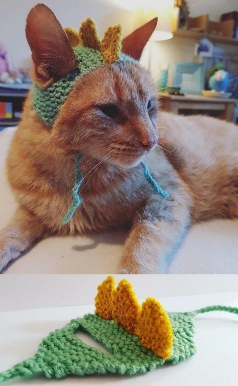 Cat Hat For Cats, Crochet Pet Stuff, Pet Crochet Hat, Crochet Projects For Pets, Cat Hats Crochet, Crochet Hats For Cats, Crochet Cat Accessories, Crochet For Cats, Pet Hat Crochet