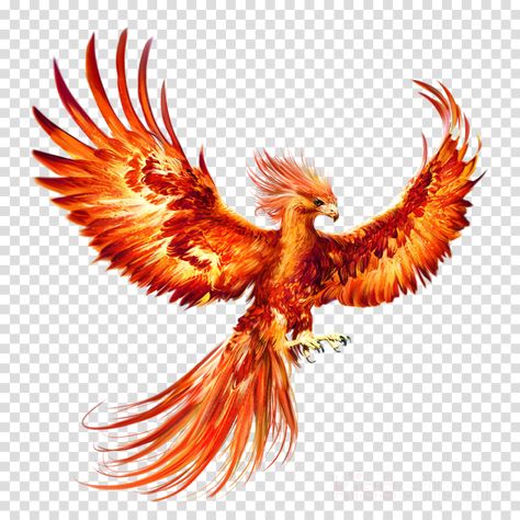 Phoenix Bird, The Sky, Phoenix, Clip Art, Orange, Red, White, Art