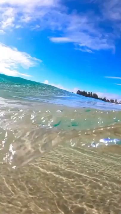 Crystal clear waves! Foto Bawah Air, Foto Disney, Filmy Vintage, फोटोग्राफी 101, Beautiful Ocean Pictures, Ocean Pictures, Fotografi Alam Semula Jadi, Beach Wallpaper, Aesthetic Photography Nature