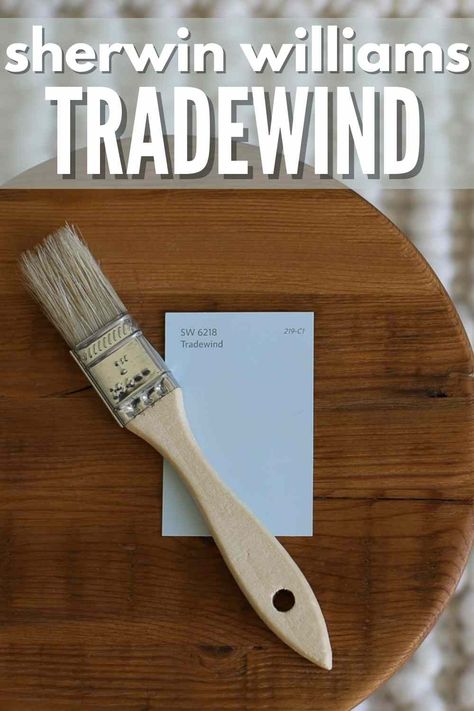 Trade Winds Sherwin Williams, Sw Tradewind, Cool Blue Paint, Tradewind Sherwin Williams, Sherwin Williams Tradewind, Paint Tips, Blogger Home, Real Homes, Own House