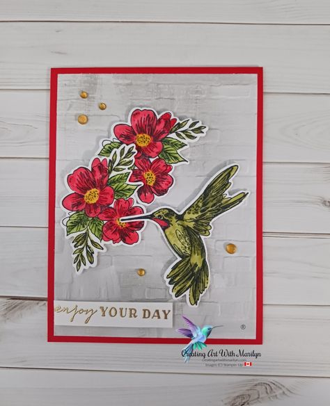 Hummingbird Cards, Hummingbird Card, Thoughtful Expressions, Hummingbird Colors, Bird Stamp, Step Cards, Wink Of Stella, Enjoy Your Day, Humming Bird