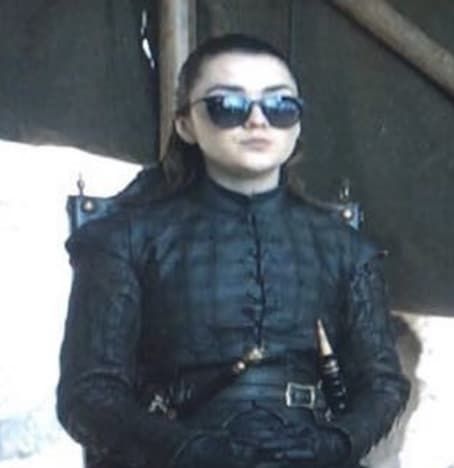 Game Of Thrones Ending, Pack Of Wolves, Game Of Thrones Arya, Game Of Thrones 3, Game Of Thrones Cast, Got Game Of Thrones, Game Of Thrones Funny, Got Memes, Gra O Tron