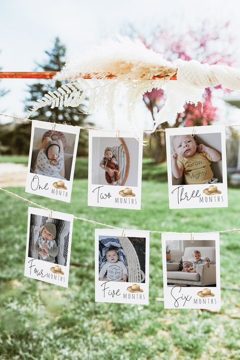 Computer Template, Sunshine First Birthday, 1st Rodeo, Rodeo Birthday Parties, Pumpkin 1st Birthdays, 1st Birthday Photo, Birthday Picture, Picture Banner, Rodeo Birthday