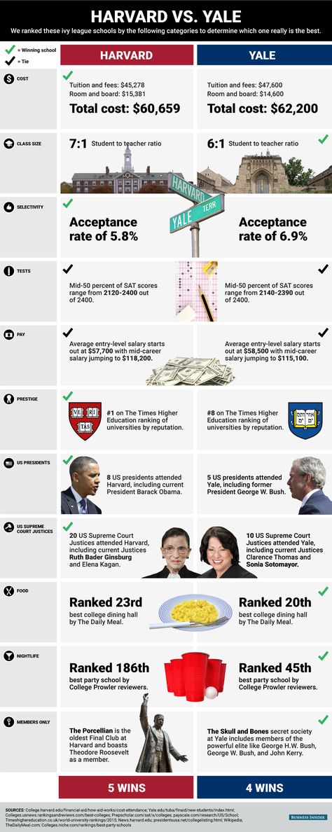 HARVARD VS. YALE: Which Ivy League School is Really the Best? #infographic #Education Infographic Education, Education Infographics, Yale Law School, Harvard Graduate, College Admission Essay, Ivy League Schools, College Application Essay, College Search, Essay Tips