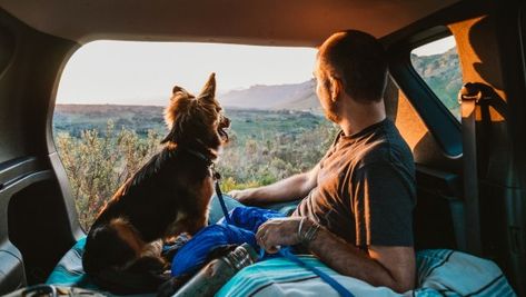 The American Road Trip Is Back | Outside Online Couple With Dog, Road Trip Playlist, Car Sick, Carpool Karaoke, Budget Vacation, Dog Camping, Pretty Skies, Road Trip Adventure, Dog Adventure