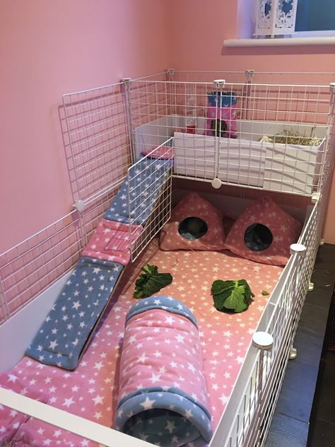 Fleece C&C Guinea Pig cage set up Indoor Guinea Pig Cage, Pig Shelter, Pig Habitat, Diy Guinea Pig Cage, Guinea Pig Cages, Guinea Pig Diy, Bunny Diy, Guinea Pig Hutch, C&c Cage