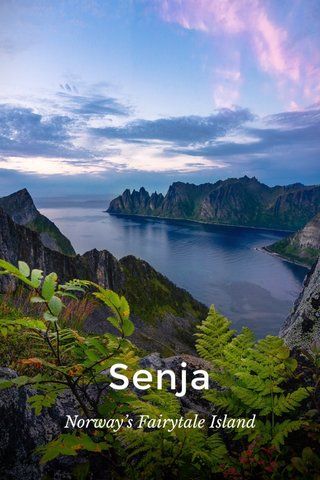 Looking for a less-travelled island to visit? Check out Senja, Norway’s Fairytale Island! #Vacation #TravelPhotography #LessTraveled Norway Vacation, Island To Visit, Travelling Europe, Norway Fjords, Island Adventure, Fun Zone, Norway Travel, Landing Page Template, Travel Photography Inspiration