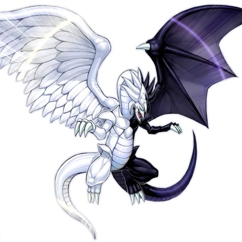 Light & Darkness Dragon Light And Darkness Dragon, Feathered Dragon, Yugioh Dragons, Types Of Dragons, Mythical Beast, Fantasy Beasts, Fantasy Monster, Mythological Creatures, Mythical Creatures Art