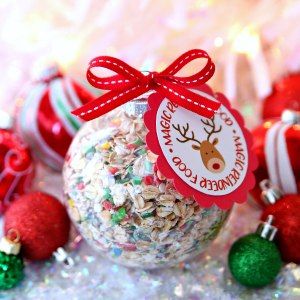 Tradition Christmas, Magic Reindeer Food, Christmas Crafts To Sell, Reindeer Food, Food Ornaments, Christmas Tradition, Christmas Crafts For Gifts, Easy Christmas Crafts, Free Christmas Printables