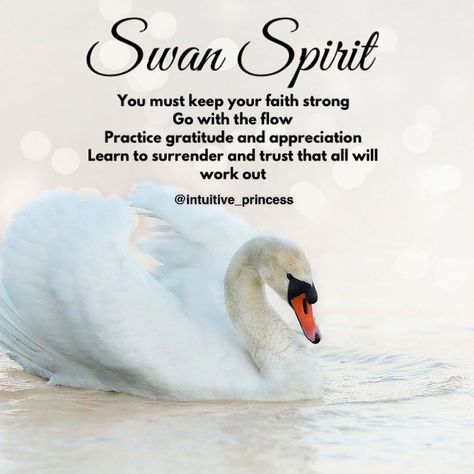 Swan Spiritual Meaning, Swan Spirit Animal, Quotes Homescreen, Swan Symbolism, Swan Meaning, Swan Beauty, Swan Quotes, Animal Meanings, Spirit Animal Totem