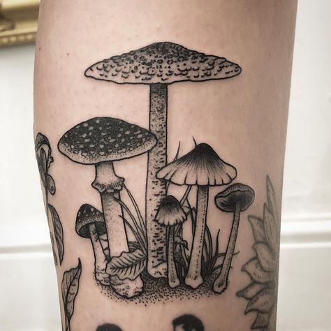 Barbie Lowenberg on Instagram: “🍄🍄🍄 for Natalie, thank you!” Mushroom Gap Filler Tattoo, Snail Tattoo, Mushroom Skull, Mushroom Tattoo, Kunst Tattoos, Mushroom Tattoos, Elbow Tattoos, Ring Tattoos, Botanical Tattoo