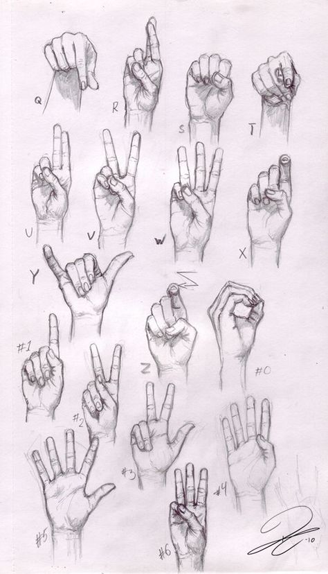 Arte Doodle, Draw Hands, Drawing Hands, Hand Gestures, Hand Drawing Reference, Anatomy Sketches, Hand Reference, Drawing Faces, Anatomy Drawing