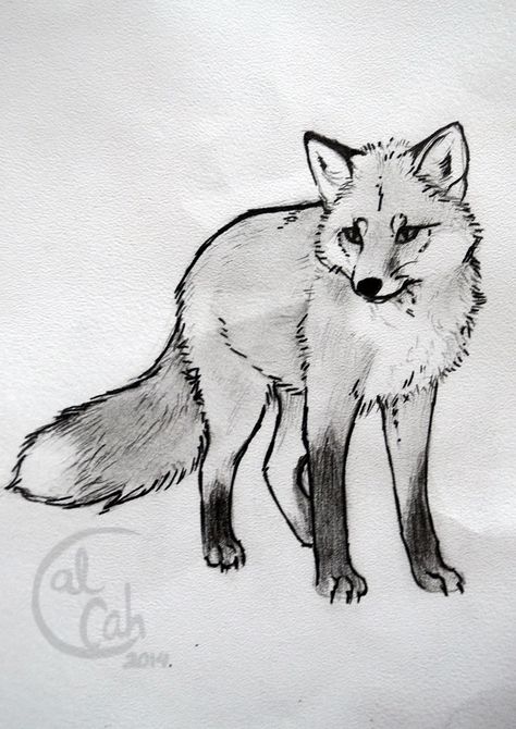 Fox sketch Fox Sketch, Art Du Croquis, Fox Artwork, Art Fox, Fox Drawing, Animal Drawings Sketches, Fox Tattoo, Tattoo Sketch, Nature Drawing