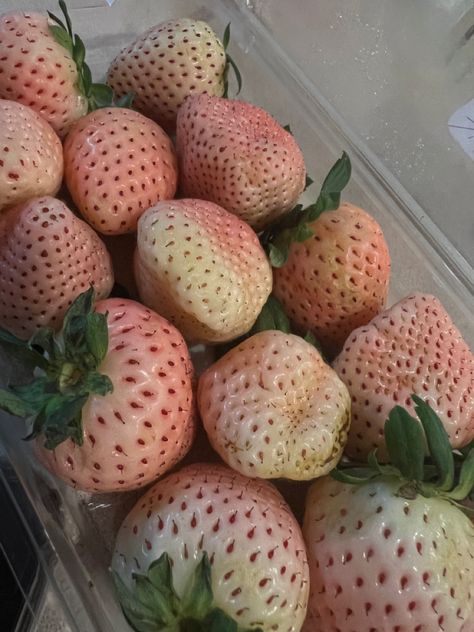 Pink fruit aesthetic Pineberry Aesthetic, Korean Strawberry Aesthetic, Strawberry Fruit Aesthetic, Kebun Strawberry Aesthetic, Strawberry Japanese Aesthetic, Strawberry Plant Aesthetic, White Strawberry, Pineapple Strawberry, Strawberry Fruit