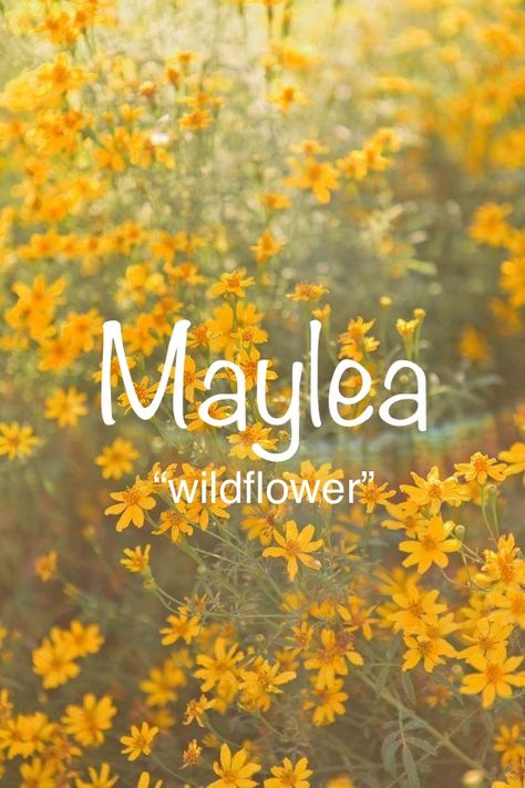 Hazel Name Aesthetic, Wildflower Names, Bible Baby Names, Mystical Names, Meaningful Baby Names, Fantasy Character Names, Female Character Names