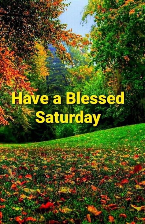 Happy Saturday Fall, Good Morning Family Quotes, Day And Night Quotes, Happy Saturday Morning, Happy Sunday Images, Saturday Images, Interactive Facebook Posts, Sunday Images, Autumn Weekend