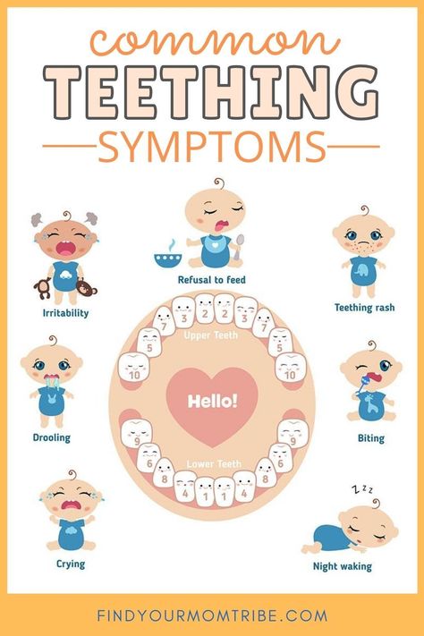 Sick Baby Remedies, Baby Teething Remedies, Baby Remedies, Teething Symptoms, Kesehatan Gigi, Kedokteran Gigi, Teething Remedies, Natural Teething Remedies, Baby Routine