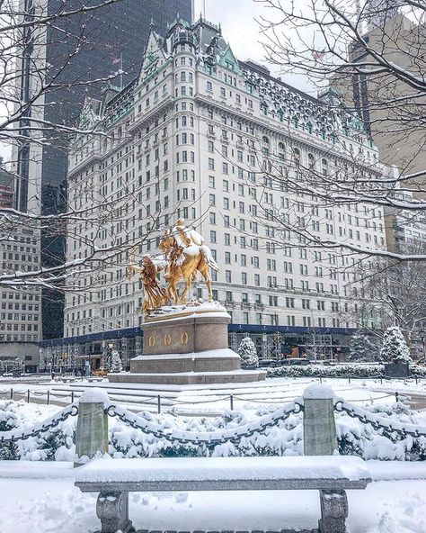 Elena on Instagram: ““The snow began to fall again, drifting against the windows, politely begging entrance and then falling with disappointment to the…” The Plaza Hotel Nyc, New York Noel, Eloise At The Plaza, Grand Plaza, Nyc Christmas, New York Winter, Nyc Aesthetic, Ny City, Plaza Hotel