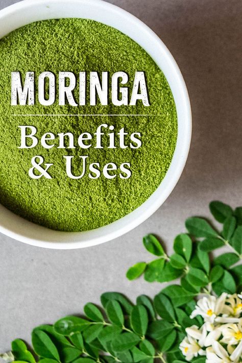 The ALL-in-ONE Ayurvedic Wonder: Moringa!  / The Ayurveda Experience Wild Diet, Moringa Recipes, Moringa Capsules, Benefits Of Moringa, The Ayurveda Experience, Moringa Benefits, Moringa Tree, Miracle Tree, Moringa Leaves