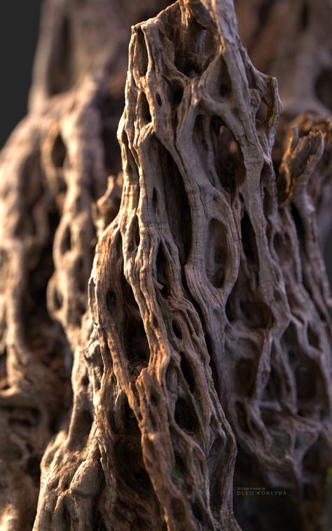 ArtStation - Ancient olive Tree #2 Two thousand years old, · K O R E Y B A · Olive Tree Tattoos, Earth Texture, Organic Structure, Tree Textures, Natural Structures, Texture Inspiration, Old Tree, Old Trees, Organic Pattern