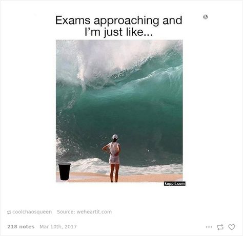 10 Hilarious Posts About College That Will Make You Laugh, Then Cry School Struggles, College Quotes Funny, University Memes, Laugh Pictures, Study Memes, College Funny, Classroom Humor, Teen Issues, Studying Funny