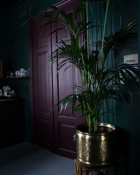 Purple Door Interior, Bold Design Interior, Dark Purple Room Paint, Dark Purple Colour Palette, Dark Green Wall Color, Deco Violet, Purple Bedroom, Dark Bedroom, Door Paint Colors