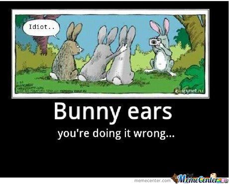 Bunny Ears: You're Doing It Wrong Easter Memes, Easter Jokes, Bunny Meme, Adult Easter, Youre Doing It Wrong, Easter Quotes, Easter Images, Baby Chickens, Easter Pictures