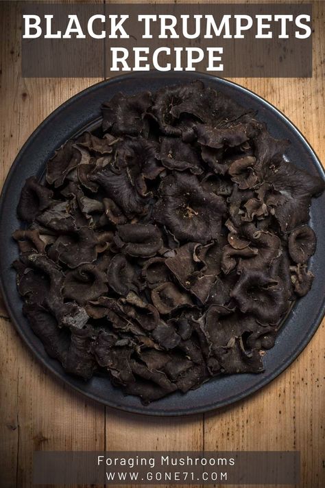 Black Trumpet Mushrooms Recipes, Trumpet Mushrooms Recipe, Black Trumpet Mushrooms, Trumpet Mushrooms, Wild Mushroom Recipes, Edible Wild Mushrooms, Horn Of Plenty, Market Value, Trumpets