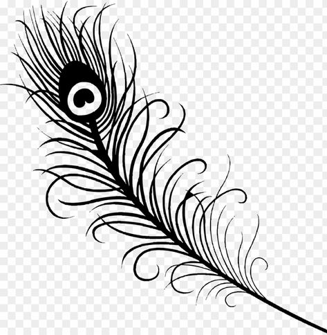 Peacock Feather Drawing, Feather Clip Art, Feather Outline, Peacock Coloring Pages, Hipster Drawings, Peacock Feather Tattoo, Peacock Tattoo, Feather Drawing, Feather Vector