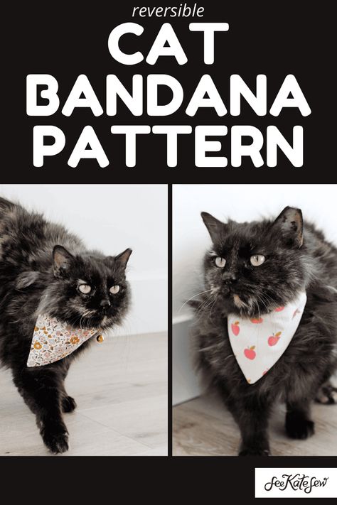 Cat Bandana Sewing Pattern - see kate sew Bandana Sewing Pattern, Cat Scarf Pattern, Cat Pillow Pattern, Cat Diy Crafts, Scarf Sewing Pattern, Bandanas Diy, Applique Towels, Fund Raiser, Baby Boy Christmas