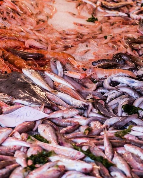 Dive into Delight: A’ Piscaria, Catania Fish Market Forget the sterile halls of your local supermarket, its pre-packaged produce and hushed efficiency. In Catania, dive headfirst into the vibrant chaos of A’ Piscaria, the city’s legendary fish market. This isn’t just a market, it’s a full-blown festa Siciliana for your senses, a symphony of sights, sounds, and mare e monti (sea and mountains) flavors that will leave you breathless (and maybe a little fishy, in the best way possible). Histo... Sea And Mountains, Travel Wisdom, Fried Calamari, Fish Market, Fresh Fish, Catania, Fresh Produce, Sicily, Fish