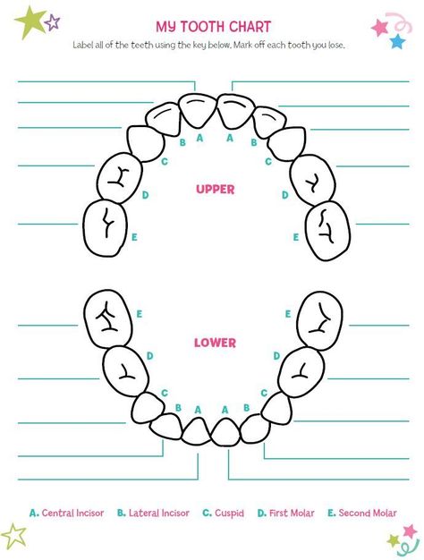 I would love to make a little lost tooth tracker for Jaden when he gets a bit bigger Teeth Chart, Teething Chart, Natural Teeth Whitening Diy, Tooth Fairy Receipt, Tooth Fairy Certificate, Tooth Fairy Doors, Tooth Fairy Gifts, Tooth Fairy Letter, Tooth Chart