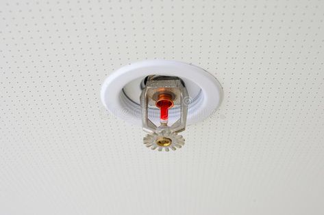 Fire sprinkler. Automatic fire sprinkler installed on ceiling for fire fighting , #Sponsored, #Automatic, #sprinkler, #Fire, #fire, #fighting #ad Fire Sprinkler System, Fire Protection System, Fire Fire, Fire Sprinkler, Facility Management, Facilities Maintenance, Care Facility, Fire Protection, Sprinkler System