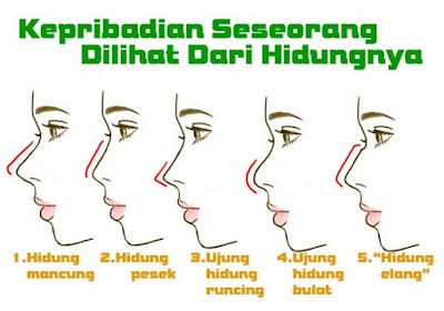 Types Of Facial, Different Nose Shapes, Type Chart, Nose Types, Shape Chart, Nose Drawing, Nose Shapes, Writing Help, Character Description