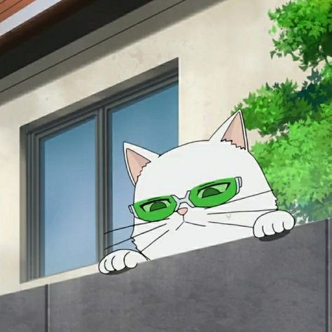 Cat Saiki, Kuriko Saiki, Disastrous Life Of Saiki K, Kusuo Saiki, Saiki K, Saiki Kusuo, Sakura Card, Manga Pictures, Anime Ships