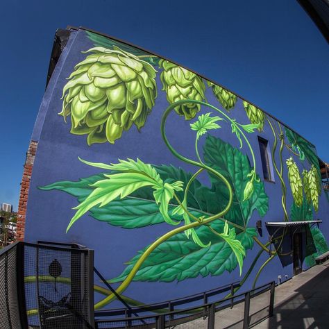 Mona Caron no Instagram: “#hops #luppolo #lupulus #hopfen, creeping up and around the corner... Been painting this while steeped in the floral aroma of fresh hops…” Flower Wall Painting, Brewery Design, Beer Wall, Garden Mural, Tropical Painting, Beer Art, Beer Pub, To My Friends, Amazing Street Art