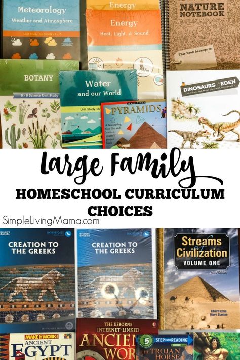 Homeschool Curriculum Planning, Science Unit Studies, Homeschooling Curriculum, Composer Study, History Curriculum, Curriculum Planning, Homeschool Schedule, Science Units, Science Curriculum