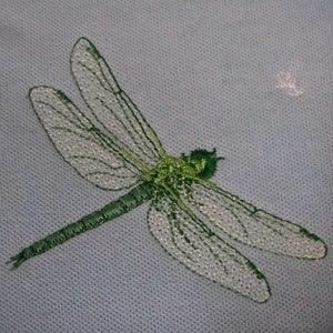 Dragonfly Embroidery Design, Dragonfly Embroidery, Sewing Designs, Traditional Homes, Green Dragonfly, Dragonfly Art, Dragonflies Design, Stitch Book, Embroidery Monogram