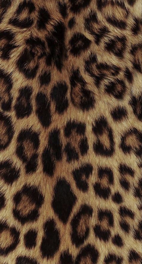 Leapord Wallpaper Phone, Cheetah Widget Aesthetic, Glamour Aesthetic Wallpaper, Cheetah Print Pfp, Coach Background, Leopard Print Background Wallpaper, 2014 Wallpaper, Glamour Wallpaper, Cheetah Print Background