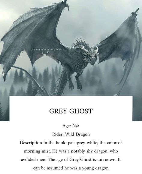 Grey Ghost Dragon Game Of Thrones, Grey Ghost Dragon, Westeros Aesthetic, Asoiaf Dragons, Ghost Dragon, Targaryen Dragons, Fantasy Tv Shows, Grey Ghost, Game Of Thrones Artwork