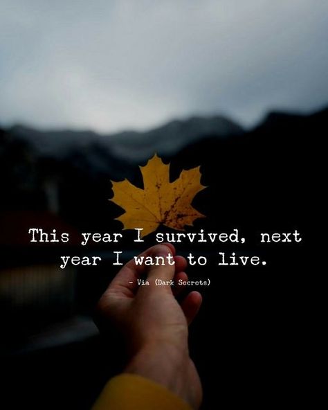 #mondaymotivation How appropriate is this - I hope we all can LIVE this year! (Of course this was a quote from the end of last year - but you get the drift!) #motivationmonday Self Love Spirituality, Inner Child Wounds, Love Spirituality, Inspirational Quotes Collection, Tired Of Work, Reality Of Life Quotes, Amazing Inspirational Quotes, Holiday Quotes, Lessons Learned In Life