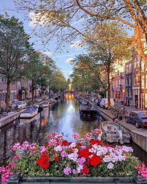 To learn about the most Instagrammable places in Amsterdam, the Netherlands, to land your best Instagram pictures, be sure to read on.  #travel #travelguide #travel2020 #travelitaly #traveltheworld #worldtravel #travelgoals #travelbucketlist #bucketlist #travelitinerary #thingstodo #bestplaces #travellist Arquitectura Wallpaper, Netherlands Travel, Amsterdam Travel, Voyage Europe, Instagrammable Places, Destination Voyage, Dream Travel Destinations, Beautiful Places In The World, Beautiful Places To Travel