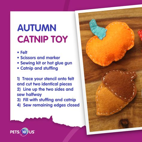 Are you ready for fall? Try out our DIY catnip toy with an autumn twist! 🍁🍂 Make sure your creation doesn’t have any loose strings or bits of glue hanging out before giving to your cat. For added enrichment, sprinkle catnip on the outside of the toy or tie them to the end of a wand! Felt Cat Toys Diy, Diy Catnip Toys, Diy Stuffies, Diy Halloween Cat, Felt Cat Toys, Diy Cat Toys, Felt Creations, Toy Ideas, Catnip Toys