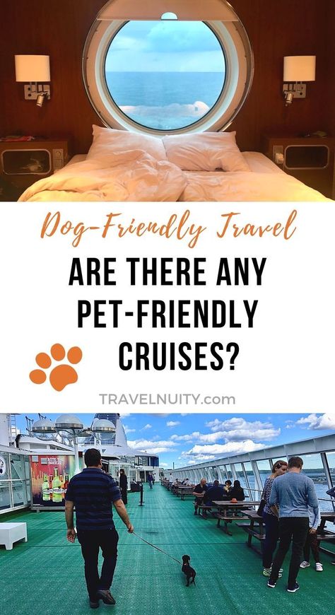 Looking for a pet-friendly cruise? While most multi-night cruises don't allow pets, there are a handful of options available, mainly in Europe. Choose between a Trans-Atlantic Crossing, a Rhine River Cruise or mini-cruises on the Baltic or to the Netherlands. Cruise Itinerary, Dog Lifestyle, Dog Friendly Vacation, Animal Encounters, Dog Friendly Hotels, Cruise Planning, Cheap Cruises, Rhine River, Princess Cruise